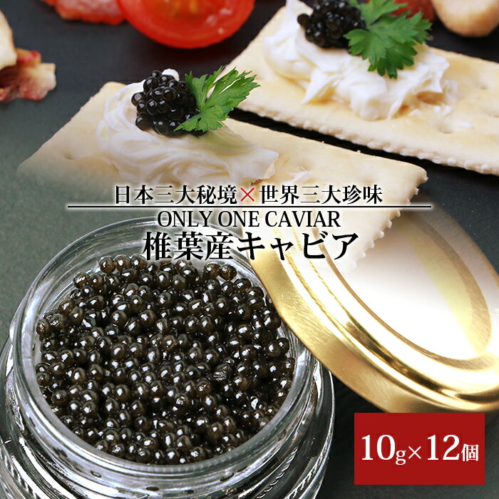 【ふるさと納税】HEIKE CAVIAR 椎葉産 キャビア 10g×12個【合計120g】 【宮崎県 椎葉村 ギフト チョウザメ お酒 プレゼント 誕生日 世界三大珍味×日本三大秘境 チョウザメ】