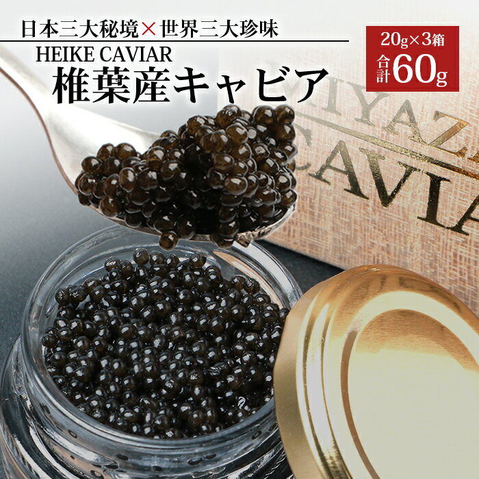 【桐箱入り】【ギフト】HEIKE CAVIAR 椎葉産 キャビア 60g 【宮崎県 椎葉村】 チョウザメ 【世界三大珍味×日本三大秘境】