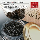 HEIKE CAVIAR 椎葉産 キャビア 70g  チョウザメ 