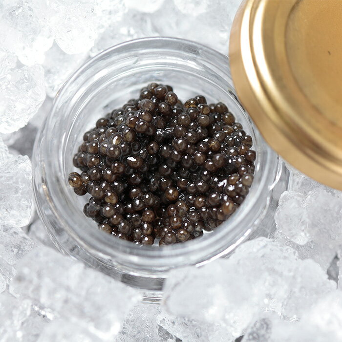 【ふるさと納税】【定期便】【桐箱入り】【ギフト】【12ヶ月 10g×12回】HEIKE CAVIAR 椎葉産 キャビア 120g 【宮崎県 椎葉村】 チョウザメ 【世界三大珍味×日本三大秘境】