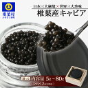 【ふるさと納税】 選べる 内容量 配送回数【桐箱入り】HEIKE CAVIAR 椎葉産 キャビア 5g ~ 80g 1回 ~ 12回 | 定期便 選べる 回数 送料無料 キャビア 国産 チョウザメ お酒 プレゼント 魚介 魚卵 珍味 世界三大珍味 加工品 冷凍 高級 贅沢 グルメ ギフト 贈り物 | SZ-109