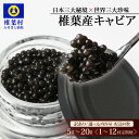 【ふるさと納税】【選べる 内容量 配送回数】【訳あり】HEIKE CAVIAR 5g~20g 1回~12回定期便 | 送料無料 キャビア 国産 お酒 プレゼント 魚介 魚卵 珍味 世界三大珍味 加工品 冷凍 高級 贅沢 グルメ ギフト 誕生日 記念日 贈答 おすすめ 特産品 希少 訳アリ |SZ-117