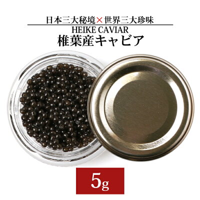 楽天ふるさと納税　【ふるさと納税】【訳あり】HEIKE CAVIAR 5g 【宮崎県 椎葉村】 チョウザメ 【世界三大珍味×日本三大秘境】