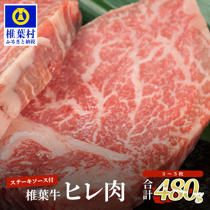 宮崎県産 椎葉牛 ヒレ肉 【480g】お試しステーキソース付き【A5等級指定 黒毛和牛】A5 a5 A5等級 A5ランク 黒毛和牛