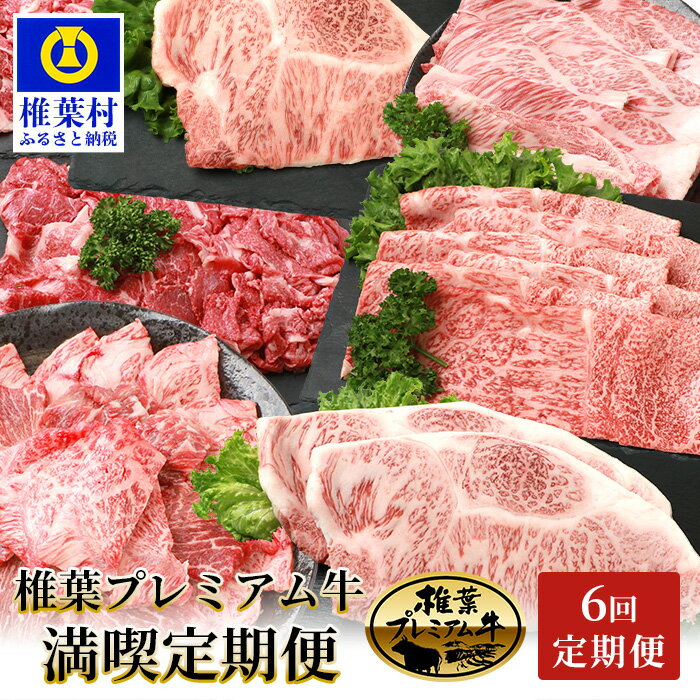 【定期便6回】総重量3.1kg！椎葉プレミアム牛満喫定期便≪ステーキ・すき焼き・しゃぶしゃぶ・焼き肉≫