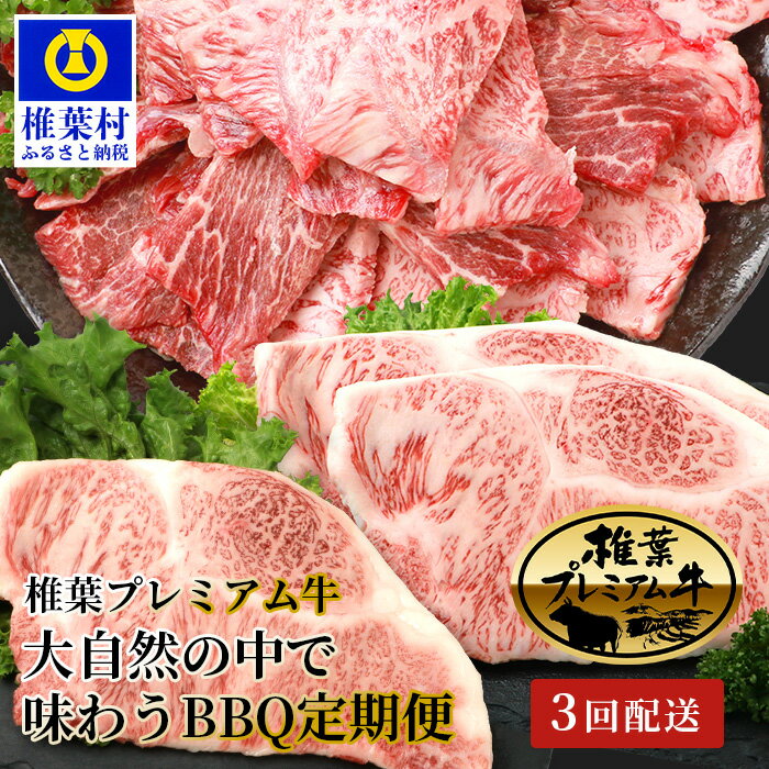 【定期便3回】総重量1.8kg！椎葉プレミアム牛 大自然の中で味わうBBQ定期便≪焼き肉・ステーキ≫