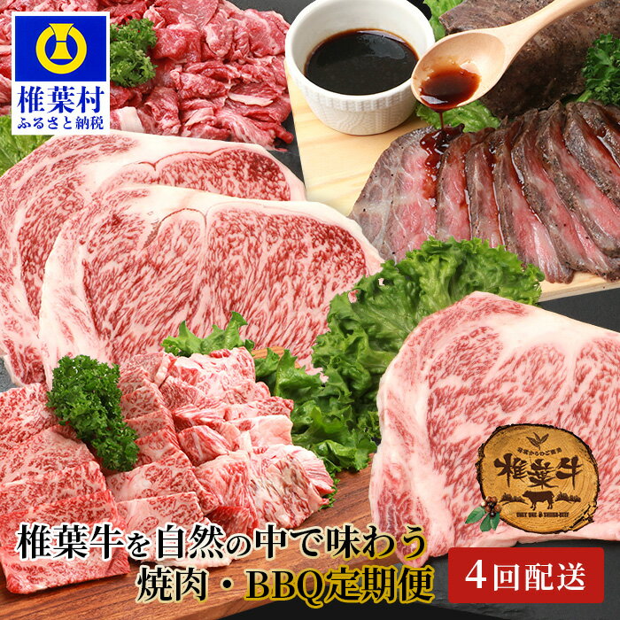 【定期便4回】総重量2.4kg！椎葉牛 大自然の中で味わう焼肉・BBQ定期便【A5等級指定 黒毛和牛】≪焼き肉・ステーキ・切り落とし・ローストビーフ≫ 定期便 牛肉 A5ランク