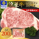 【ふるさと納税】宮崎県産 椎葉牛 サーロインステーキ【200g】【日本三大秘境の牛肉】【A5等級指定 黒毛和牛】A5 a5 A5ランク A5等級 黒毛和牛