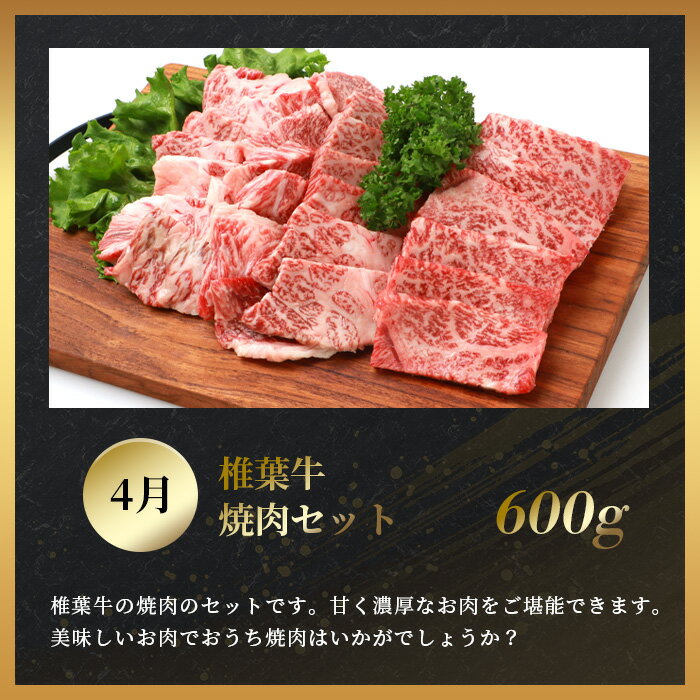 【ふるさと納税】【定期便4回】総重量2.4kg！椎葉牛 大自然の中で味わう焼肉・BBQ定期便【A5等級指定 黒毛和牛】≪焼き肉・ステーキ・切り落とし・ローストビーフ≫ 定期便 牛肉 A5ランク