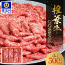 6位! 口コミ数「1件」評価「5」宮崎県産 椎葉牛 ももスライス【500g】【A5等級指定 黒毛和牛】A5 a5 A5等級 A5ランク 黒毛和牛