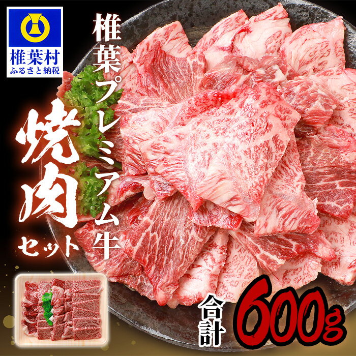 宮崎県産 椎葉プレミアム牛 焼肉セット【600g】