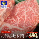 10位! 口コミ数「0件」評価「0」宮崎県産 椎葉プレミアム牛 ヒレ【480g】お試しステーキソース付き