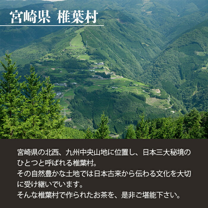 【ふるさと納税】【世界農業遺産の産物】焼畑農家がつくった山桑の葉茶 スティックタイプ 10本入り×3袋【桑茶】 3