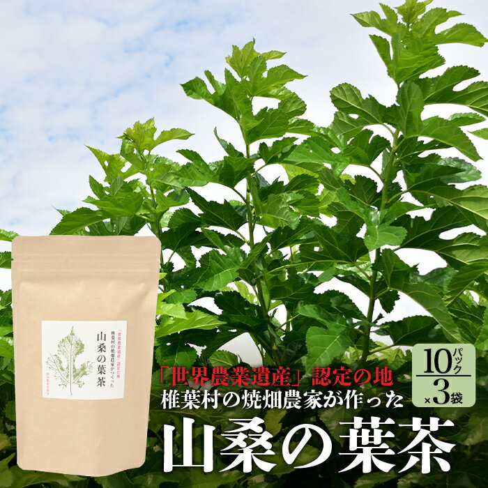 焼畑農家がつくった山桑の葉茶 ティーバック 10パック×3袋