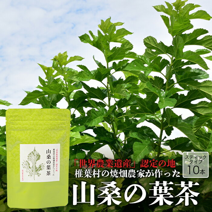 茶葉・ティーバッグ(植物茶)人気ランク20位　口コミ数「1件」評価「1」「【ふるさと納税】【世界農業遺産の産物】焼畑農家がつくった山桑の葉茶 スティックタイプ【桑茶】」