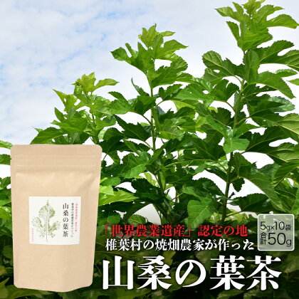 【世界農業遺産の産物】焼畑農家がつくった山桑の葉茶 ティーバック【桑茶】