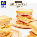 【ふるさと納税】【先行予約受付中】≪2022年2月発送≫宮崎バターサンド 詰合せ【15個入】手造りで製造【数量限定】