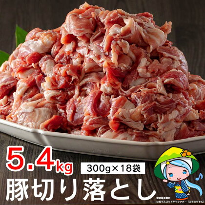 豚 切り落とし 小分け 300g×18袋 合計5.4kg 冷凍 宮崎県産 豚肉 送料無料 ウデ 腕 切落し 炒め物 料理 調理 おかず 大容量 真空包装 収納スペース 豚丼 生姜焼き 豚汁 BBQ バーベキュー キャンプ 焼肉