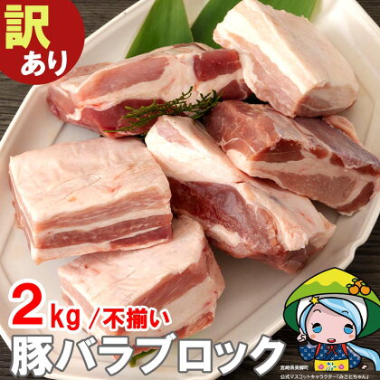 【訳あり】【お届け月が選べる】 豚肉 豚バラ ブロック 2kg 不揃い 5～7袋 冷凍 宮崎県産 不揃い 煮込み 角煮 チャーシュー 丼 ポッサム 蒸し 揚げ 料理 真空包装 収納 スペース 蒸し豚 塊 かたまり 料理 調理 おかず 先行予約