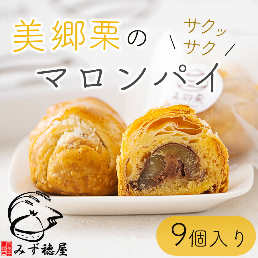 和栗 マロンパイ (9個) 和栗 スイーツ お取り寄せ 栗づくし 冷凍 送料無料 手作り 宮崎県 美郷町産 美郷栗 国産 贈答品 ギフト 詰め合わせ