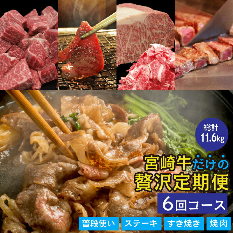 宮崎牛 贅沢 定期便 6ヶ月 リブロース ヒレ フィレ ヘレ ステーキ サーロイン モモ 赤身 焼肉 カット サイコロ スライス 薄切り うす切り バラ 霜降り 小間 こま 炒め物 BBQ バーベキュー キャンプ 冷凍 内閣総理大臣賞受賞 宮崎県産 九州産 送料無料