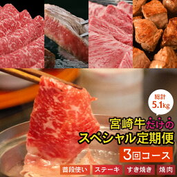 【ふるさと納税】 宮崎牛 スペシャル 定期便 3ヶ月コース 合計5.1kg モモ 焼肉 ステーキ 赤身 サイコロ スライス クラシタ バラ ロース ウデ リブロース ヒレ フィレ サーロイン しゃぶしゃぶ すき焼き BBQ バーベキュー 冷凍 内閣総理大臣賞受賞 宮崎県産 送料無料