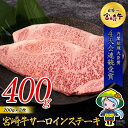 【ふるさと納税】 宮崎牛 サーロイン ステーキ 200g×2 合計400g 牛肉 冷凍 内閣総理大臣賞受賞 国産 黒毛和牛 宮崎県産 ブランド牛 送料無料 BBQ バーベキュー キャンプ ギフト 贈り物 プレゼント 父の日 母の日