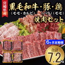 8位! 口コミ数「0件」評価「0」【6ヶ月定期便】 宮崎県産 焼肉 セット 黒毛和牛 モモ カルビ 豚バラ 若鶏 モモ 合計7.2kg 各300g 小分け 冷凍 送料無料 国･･･ 