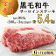 【ふるさと納税】 【6回定期便】 宮崎県産 黒毛和牛 サーロイン ステーキ 300g ×3×6ヶ月 合計5.4kg 小分け 冷凍 送料無料 国産 牛 肉 霜降り BBQ バーベキュー キャンプ 真空包装 スペース 収納 サシ がっつり 脂