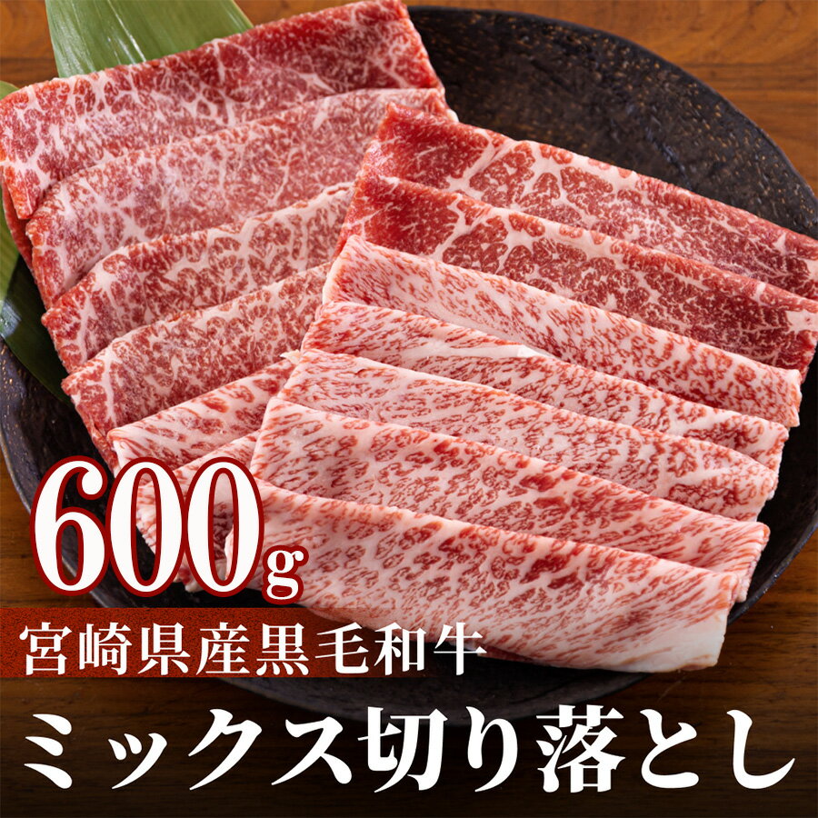 宮崎県産 黒毛和牛 切り落とし 600g (300g×2) 小分け モモ カタ バラ ミックス 冷凍 送料無料 国産 牛 肉 切落し 牛丼 肉じゃが しぐれ煮 煮込み 肩 普段使い 母の日 父の日 プレゼント ギフト 贈り物