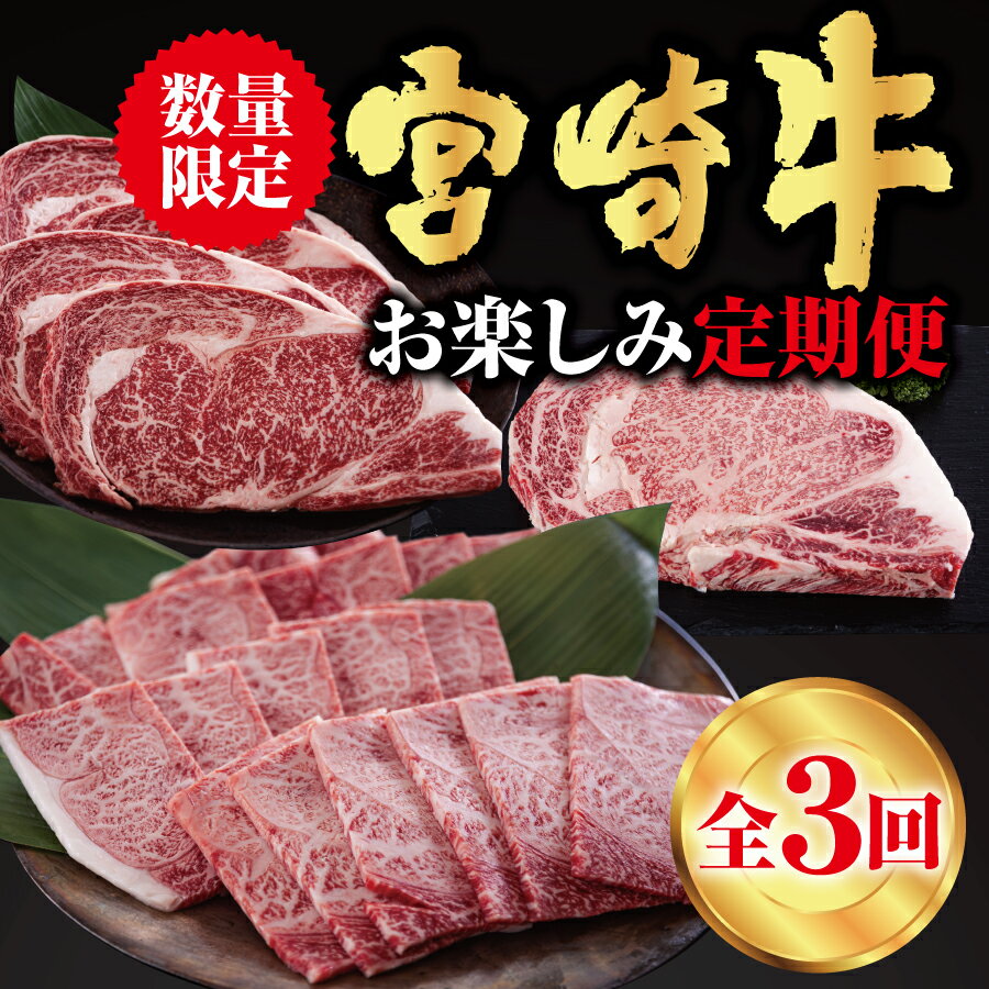 [3回定期便] 宮崎牛 ロースステーキ 600g 肩焼肉 400g ワンポンドステーキ 454g 冷凍 送料無料 国産 黒毛和牛 A5 A4等級 ブランド 牛 肉 霜降り バーベキュー キャンプ BBQ 宮崎県産 母の日 父の日 プレゼント ギフト 贈り物 3ヶ月 セット