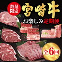 【ふるさと納税】 【6回定期便】 宮崎牛 ロースステーキ 肩焼肉 ワンポンドステーキ もも バラ すき焼き 肩ロース 冷凍 送料無料 国産 黒毛和牛 A5 A4等級 ブランド 牛肉 霜降り バーベキュー キャンプ BBQ 宮崎県産 母の日 父の日 プレゼント ギフト 贈り物 6ヶ月 セット