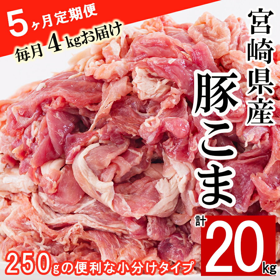 【ふるさと納税】 【5ヶ月定期便】 宮崎県産 豚 小間 切れ 250g×16×5回 合計20kg こま 小分け 豚肉 冷凍 宮崎県産 送料無料 炒め物 焼肉 調理 料理 豚汁 カレー 豚丼 生姜焼き 照り焼き 甘辛煮 あんかけ 焼きそば 大容量 真空 手切り カット やわらかい 普段使い おかずのサムネイル