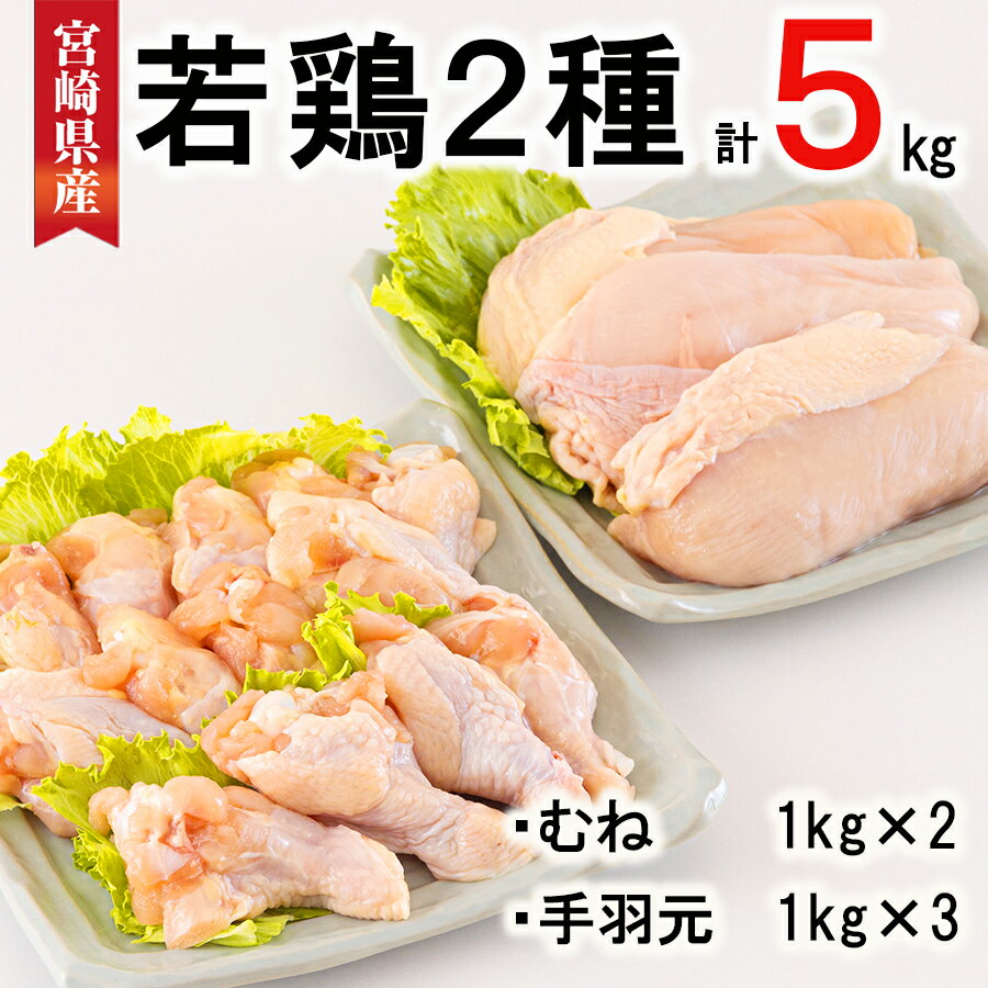 【ふるさと納税】 宮崎県産 若鶏 むね 手羽元 合計5kg 1kg包装 小分け 鶏肉 冷凍 送料無料 炒め物 煮込み 調理 料理 …