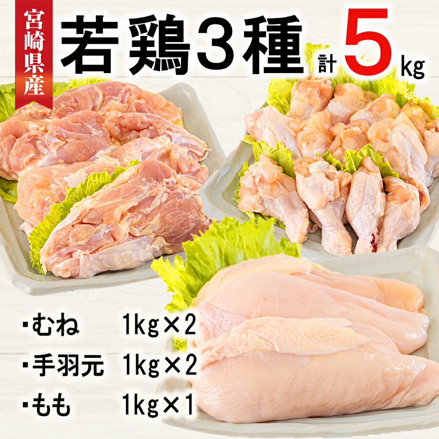 【ふるさと納税】 宮崎県産 若鶏 むね 手羽元 もも 合計5kg 1kg包装 小分け 鶏肉 冷凍 送料無料 炒め物 煮込み 調理 …