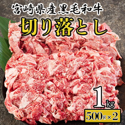 宮崎県産 黒毛和牛 切り落とし 1kg (500g×2) 小分け 牛肉 切落し モモ バラ 牛丼 肉じゃが しぐれ煮 煮込み 炒め 焼肉 普段使い 調理 おかず 料理 国産 送料無料 パック 牛 すき煮 肉豆腐 甘辛煮 ハヤシライス すき焼き