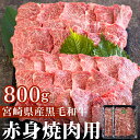  宮崎県産 黒毛和牛 赤身 焼肉 800g (400g×2) 牛肉 炒め BBQ バーベキュー キャンプ 煮込み 普段使い 調理 おかず 料理 国産 送料無料 パック ビビンバ ハッシュドビーフ 焼き サラダ 青椒肉絲 チンジャオロース