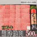 26位! 口コミ数「0件」評価「0」 宮崎牛 霜降 焼肉 セット 500g 特製ステーキソース付き ギフト箱入り 冷凍 A5 ブランド牛 送料無料 国産 牛 肉 南海グリル 贈･･･ 