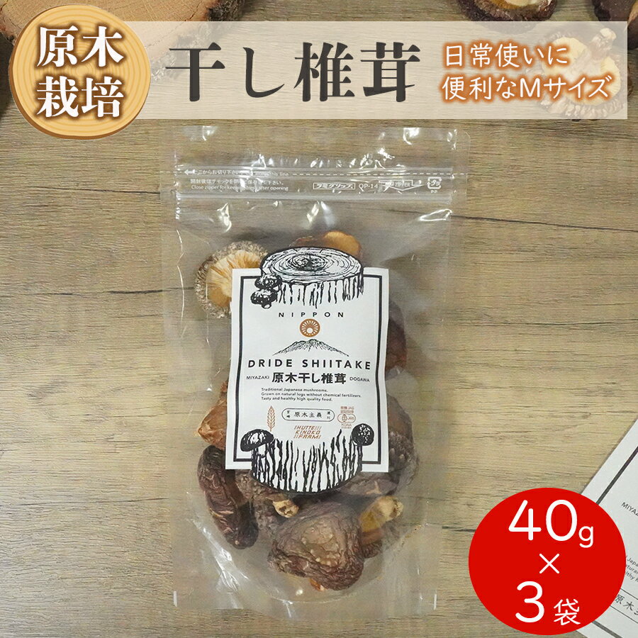 10位! 口コミ数「0件」評価「0」 宮崎県産 乾燥 椎茸 40g×3袋 小分け チャック袋入 干ししいたけ 出汁 オーガニック 原木栽培 有機JAS認証 料理 調理 常温 美･･･ 