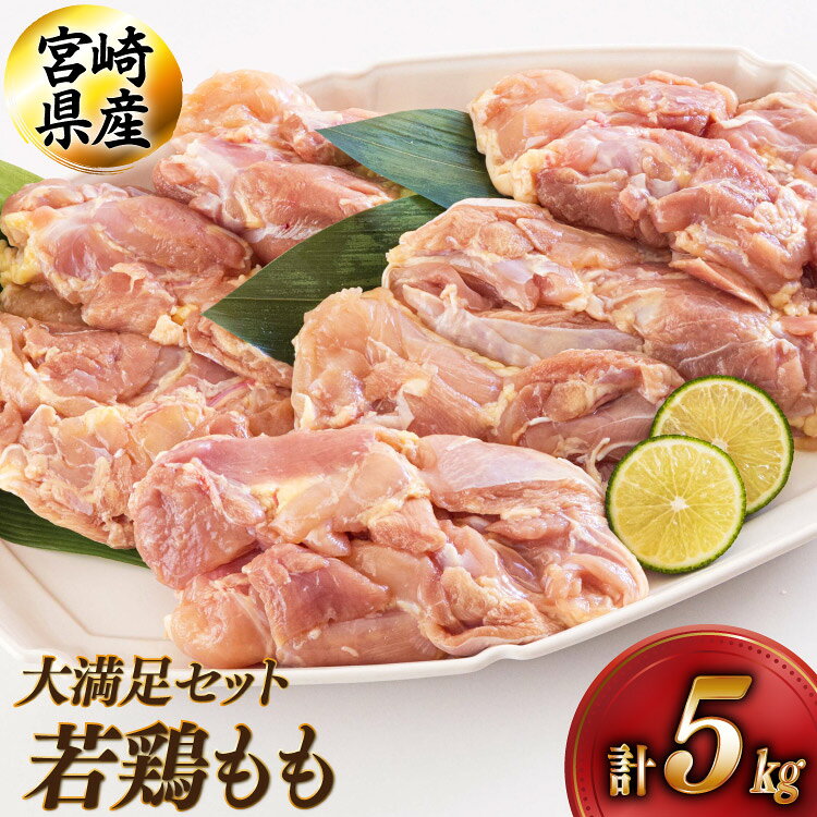 【ふるさと納税】 鶏肉 もも肉 宮崎県産 若鶏 もも 1kg × 5 計5kg [アグリ産業匠泰 宮崎県 美郷町 31be0061] 肉 鳥肉 とりにく 冷凍 小分け 個包装 モモ 鶏もも 鶏モモ
