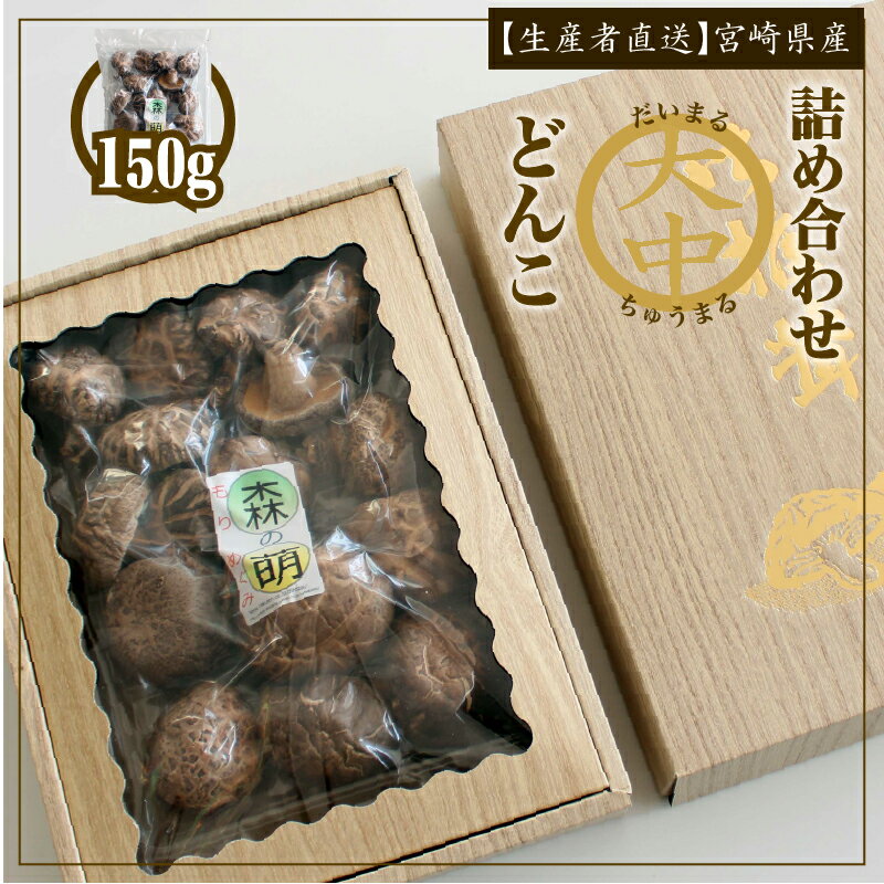 記事ID36933のサムネイル画像