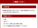 【ふるさと納税】ウェイクサーフィン 2時間 体験 アクティビティ 船 貸し切り 貸切 夏 スポーツ コース マリンスポーツ 利用券 利用権 宮崎県 送料無料 3