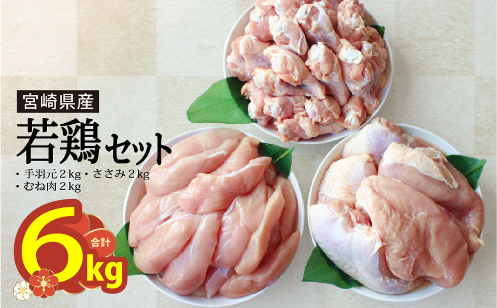 【ふるさと納税】 鶏肉 むね ささみ 手羽元 小分け 冷凍 各1kg×2 合計6kg 詰め合わせ セット 鶏 若鶏 胸 宮崎県産 国産 あっさり ヘルシー 煮込み 揚げ物 炒め物 料理 調理 普段使い 便利 チキン 鶏むね