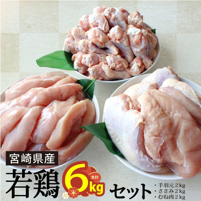 【ふるさと納税】 鶏肉 むね ささみ 手羽元 冷凍 6kg 詰め合わせ セット 各2kg 鶏 若鶏 宮崎県産 国産