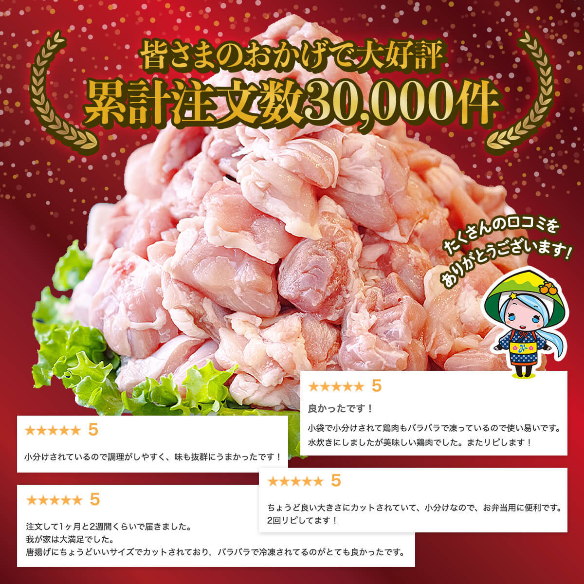 【ふるさと納税】 鶏肉 もも肉 パラパラ 切身 冷凍 250g×12 合計3kg 小分け 冷凍 モモ 国産 鳥 肉 宮崎県産 若鶏 期間限定 数量限定 おかず 収納スペース 便利 調理 チキン南蛮 鶏天 唐揚げ からあげ 揚げ 炒め シチュー 煮込み スープ お弁当 一口サイズ カット済み