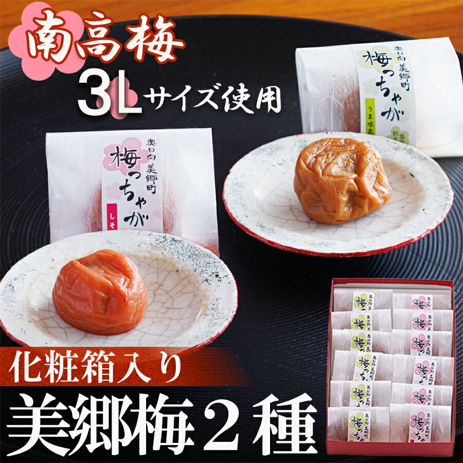 南高梅 梅干し 美郷梅 化粧箱入り 昆布 シソ風味 一粒入り 各6粒ずつ 3Lサイズ A級品 国産 セット 詰め合わせ 宮崎県産 美郷産 常温 送料無料 贈答品 父の日 母の日 プレゼント ギフト