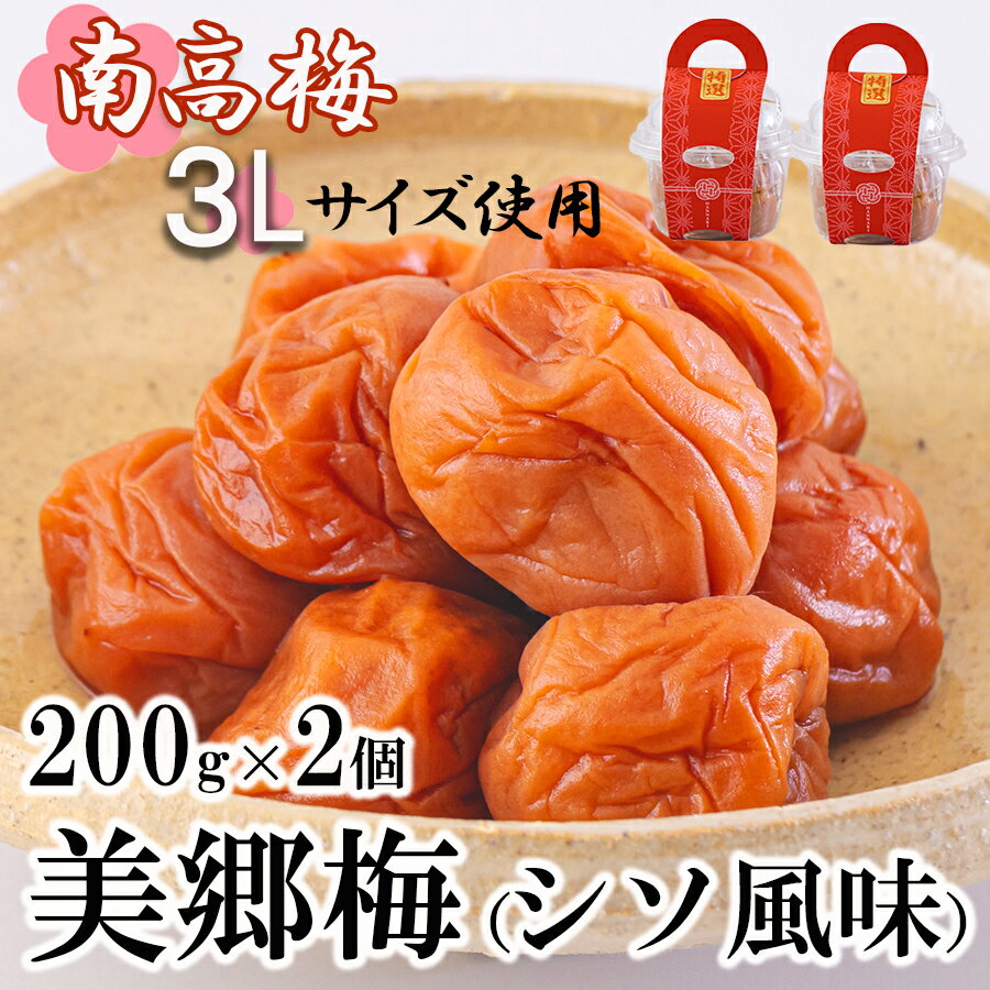 18位! 口コミ数「0件」評価「0」 南高梅 梅干し 美郷梅 シソ風味 200g×2 3Lサイズ 塩分控えめ A級品 国産 宮崎県産 美郷産 常温 送料無料 贈り物 贈答品 父･･･ 