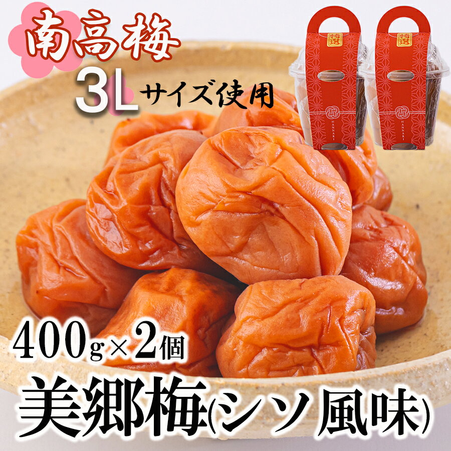 19位! 口コミ数「0件」評価「0」 南高梅 梅干し 美郷梅 シソ風味 400g×2 3Lサイズ 塩分控えめ A級品 国産 宮崎県産 美郷産 常温 送料無料 贈答品 父の日 母･･･ 