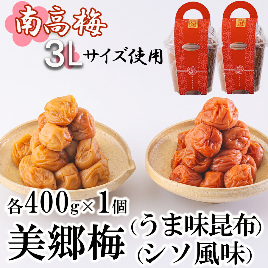 【ふるさと納税】 南高梅 梅干し 美郷梅 昆布 シソ風味 セット 各400g×1 3Lサイズ A級品 国産 セット 詰め合わせ　 宮崎県産 美郷産 常温 送料無料 贈答品 父の日 母の日 プレゼント ギフト 食べ比べ 2種 贈り物 おやつ お菓子 調理 おかず 料理 普段使いのサムネイル