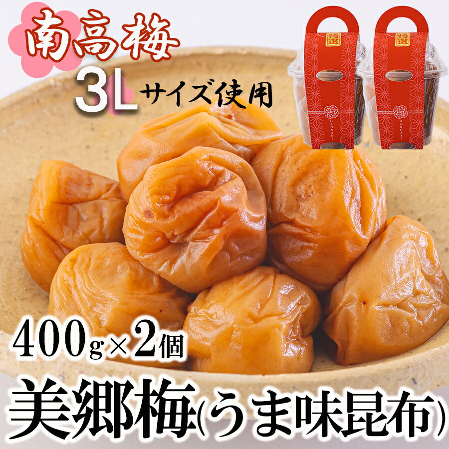 7位! 口コミ数「0件」評価「0」 南高梅 梅干し 美郷梅 昆布 400g×2個 3Lサイズ 塩分控えめ A級品 国産 宮崎県産 美郷産 常温 送料無料 贈答品 父の日 母の･･･ 